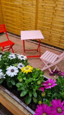 Einzigartige Hinterhof Wohnung mit Terrasse