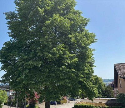 Weil Zuhause mehr ist als vier Wände - Neubauwohnung zum Wohlfühlen in Bad Säckingen