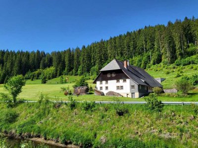 Der Winterberghof - 1668