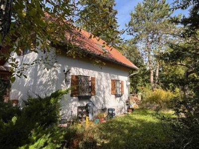 PROVISIONSFREI - GRUNDSTÜCK MIT ALTBESTAND OBERMENZING
