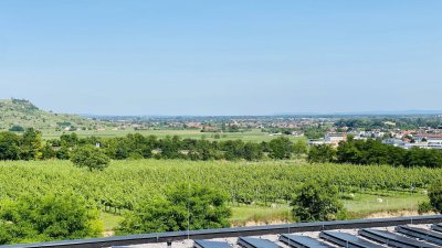 Gemütliche 3-Zimmerwohnung mit Fernblick in Danube Hills Krems