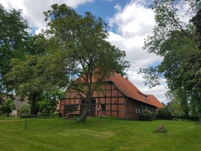 Kleinod an der Elbe, Idylle pur - Altes Pfarrhaus in Radegast zu verkaufen