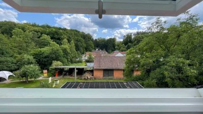 Vollständig renovierte Wohnung mit zwei Zimmern und EBK in Kaiserslautern