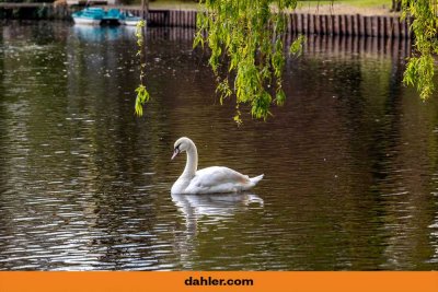 Eigentumswohnung in Wasserlage! Mit wunderschönem Blick und Zugang zum Rondeelteich