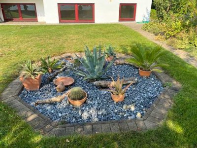 Sanierte 2-Raum-EG-Wohnung  und Einbauküche in Biberach an der Riß