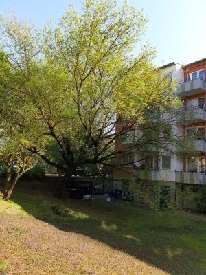 Sehr schöne 3 Zimmerwohnung. Sehr zentral aber mitten im Grünen