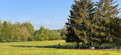 "Entspannen im Grünen"  Schöne Erdgeschosswohnung mit eigenem Garten in Moorenweis /OT Eismerszell