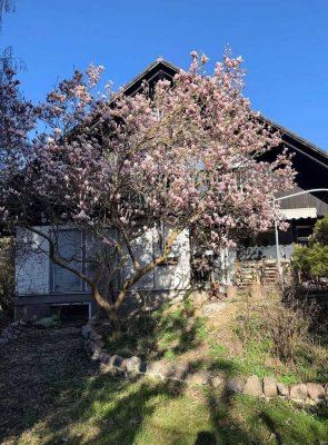 Provisionsfrei in Kladow – Freistehendes Haus mit Naturgarten für die Großfamilie. MIETKAUFOPTION