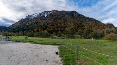 Erstbezug in ruhiger und naturnaher Lage - Großzügig Wohnen mit Bergblick