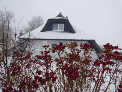 WINTERZAUBER 1. WOHNSITZ IN ZINNOWITZ MIT ERDWÄRME & KAMIN & SAUNA UND WUNDERSCHÖNEM GRUNDSTÜCK.