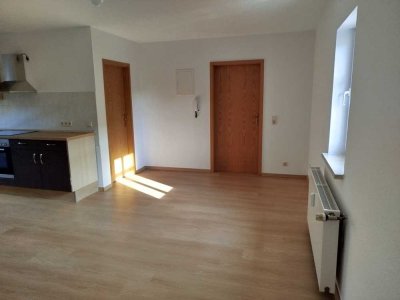 Schöne und renovierte 1-Zimmer-Wohnung in Caaschwitz