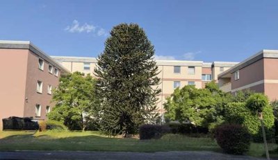 Moderne 3 Zimmer Eigentumswohnung mit Balkon in gepflegter Lage von Homberg/Grenze Moers