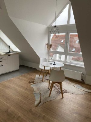 Attraktive möblierte 1-Zimmer-DG-Wohnung mit Einbauküche in Worms