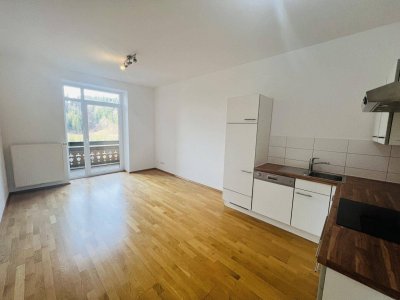 2 Zimmer-Wohnung mit Balkon in Bad Aussee - Gasteig