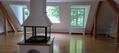 Excl. 2 Zi-DG-Whg. mit off. Kamin in Villa 7 min z. Festspielhaus