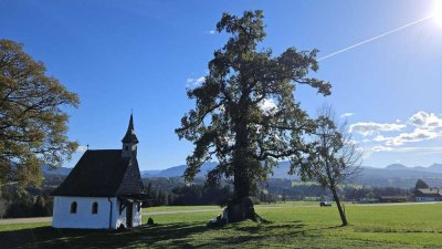Bestlage bei Traunstein (3km) - Zweifamilienhaus in sonniger Alleinlage auf Anhöhe