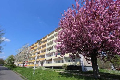 Wohnen mit Concierge und Aufzug