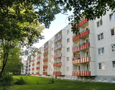Große 3-Raum-Wohnung in Knieper West