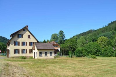 Geräumiges Wohnhaus mit Entwicklungspotenzial auf großzügigem Grundstück in ruhiger Lage