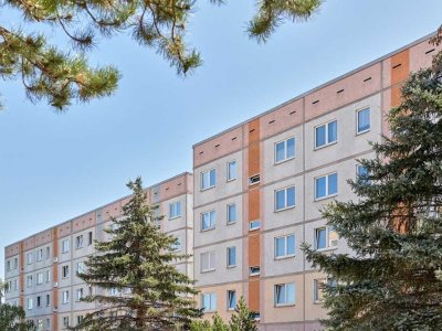 Ihr neues Familiennest in Eisleben - Wohnung voller Möglichkeiten !