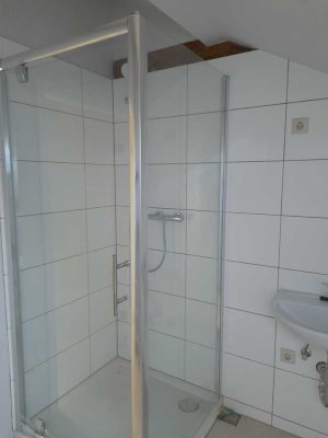 5-Zimmer-Dachgeschosswohnung  in Lambsheim