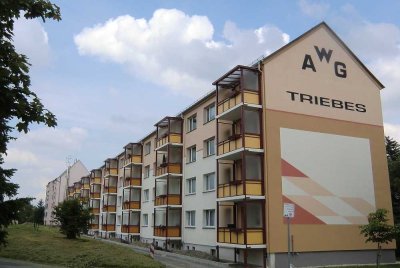 Anschauen! 2-Raum-Wohnung mit Blick ins Grüne