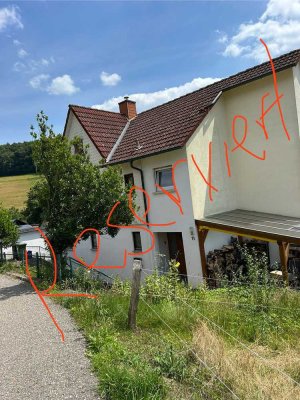 Freistehendes Einfamilienhaus im Ortskern (Einbauküche,Garten,Garage/Stellpl. und Terrasse/2 Balkon)
