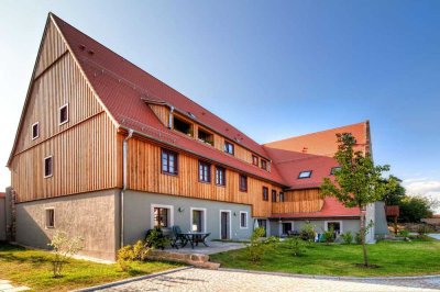 +++ Kernsanierte 2-Raumwohnung mit Einbauküche in historischem Dreiseitenhof in Cossebaude +++