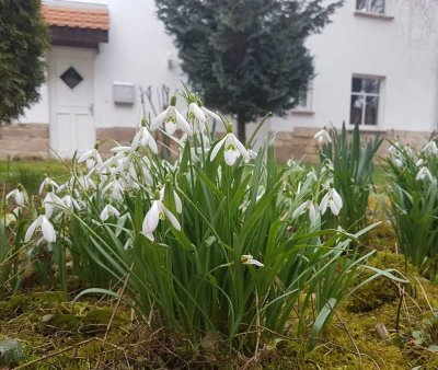 Topsaniert: Exklusive 3,5-ZKB Maisonettewohnung im Naturidyll vor den Toren Jenas