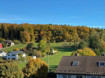 Traumhafte Dachterrassenwohnung mit Blick in die Berge