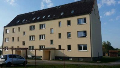 Gut geschnittene 4-Raum-Wohnung mit Einbauküche im Erdgeschoss