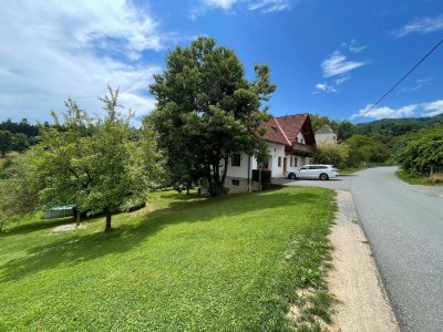 Lichtdurchflutetes Einfamilienhaus mit Potenzial als Zweifamilienhaus in ruhiger Sackgassenlage nahe Stainz Provisionsfrei (Provisionsfrei)