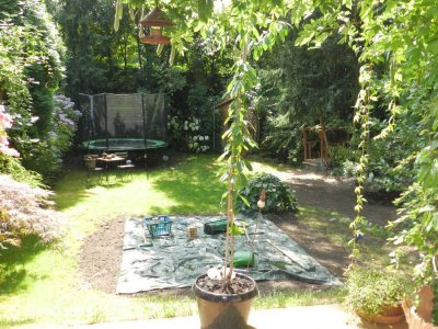 Jetzt kaufen und den Sommer im eigenen Bungalow mit Garten genießen