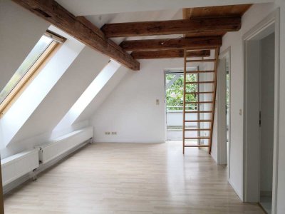 Helle Loft DG Wohnung ideal für Single / Paar mit Balkon, Osterode am Harz - Lerbach