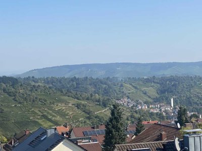 Wohnen mit Weitblick über die Weinberge
