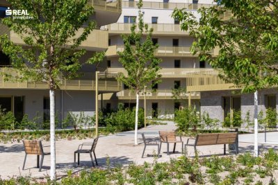 Hirschfeld - Ihr neues Zuhause im Grünen - anfragen, besichtigen, einziehen - 41 bis 96 m²