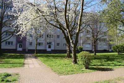 Gemütliche Zweiraumwohnung