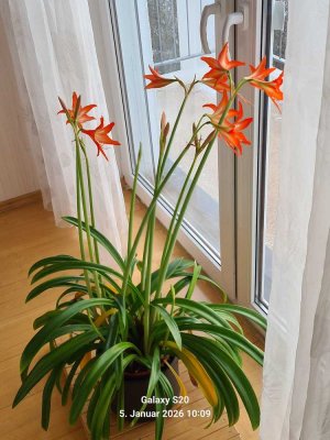 Platz für den Alltag: 3-Zimmer-Wohnung in Erfurt