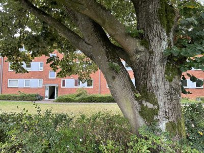 Stilvolle 3-Zimmer-Wohnung mit Balkon ab sofort zu mieten