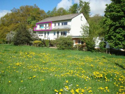 Attraktive 2-Zimmer-Wohnung mit Südbalkon in Simmern
