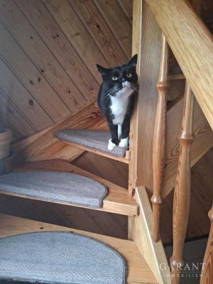 Zweifamilienhaus in ruhiger Lage bei Bad Steben !