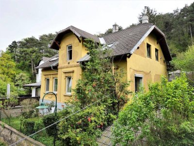 Jahrhundertwendevilla in GRUEHNRUHELAGE - Perchtoldsdorf