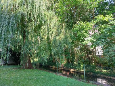 Wohnen in Pfersee - gemütliche 2-Zimmer-Singlewohnung neu zu vermieten