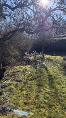 Freistehendes Einfamilienhaus in Sinzing