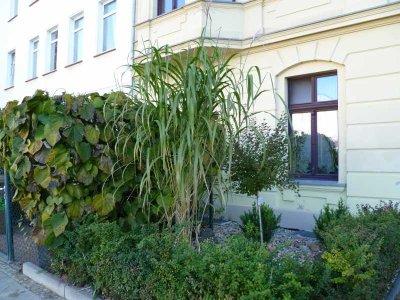 Wohnen auf 2 Ebenen in ruhiger Stadtlage, im Stadtgebiet Sudenburg.