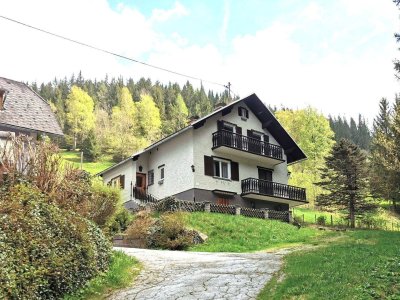 Großzügiges Familien- oder Ferienhaus im Grünen