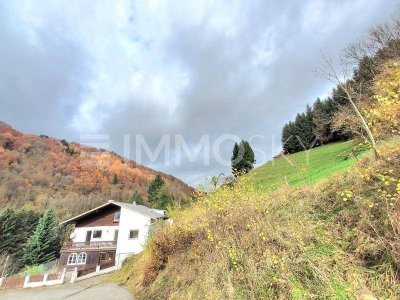 Renovierungsbedürftiges Mehrfamilienhaus naturnah in Urfahr!