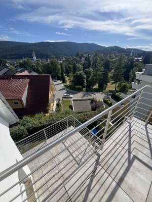 Dennenbergstraße 8, 79822 Titisee-Neustadt
