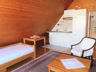 Nur für Einzelperson - Möbliertes Apartment - 1 ZKB in KS-Am Lindenberg