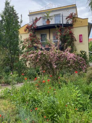 Zuhause mit viel Platz in Köpenick